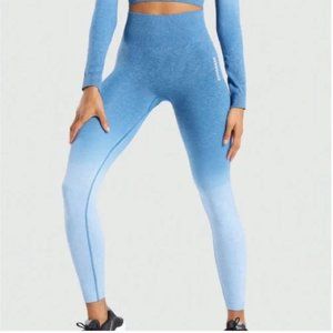 Gymshark Adapt Ombre Seamless Leggings size S
